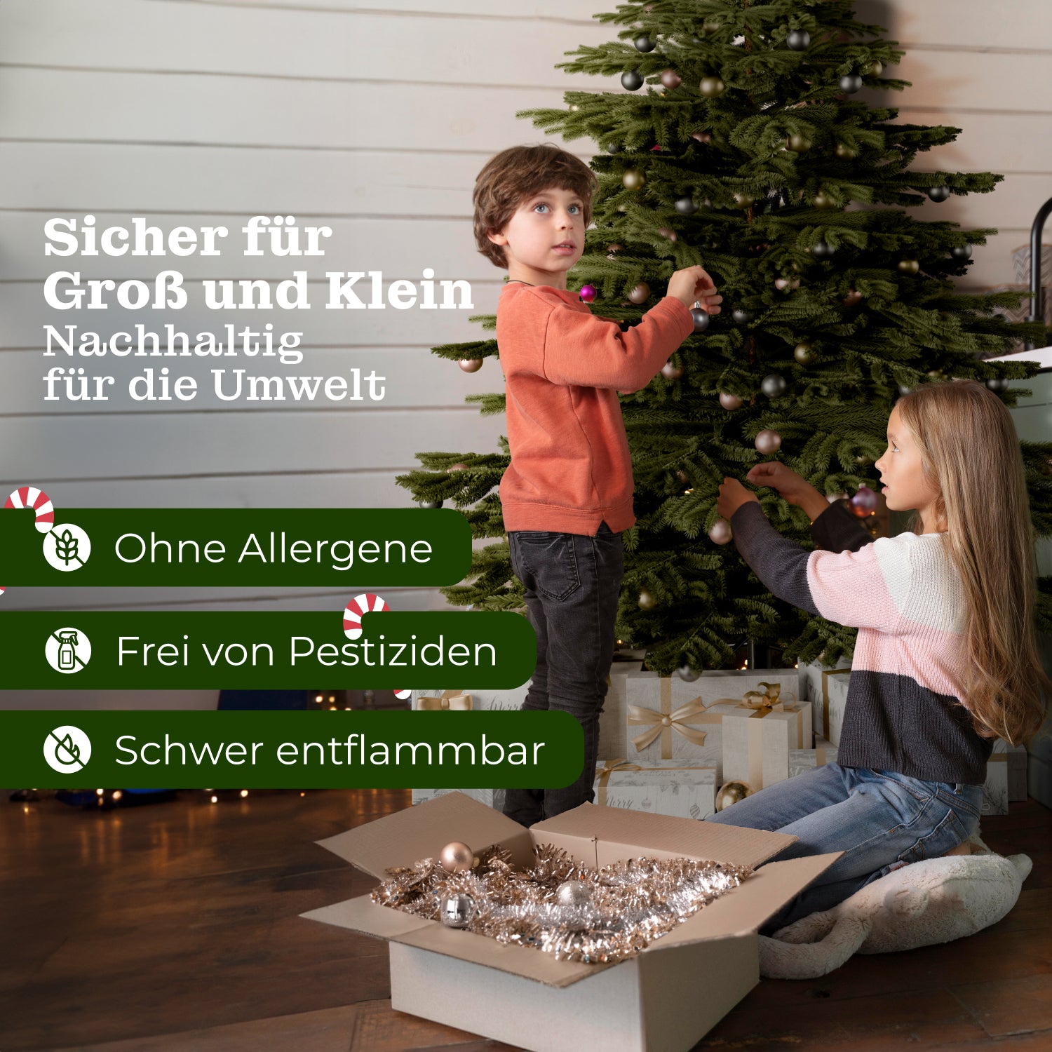 Nordmanntanne 180 cm mit toller Lichterkette