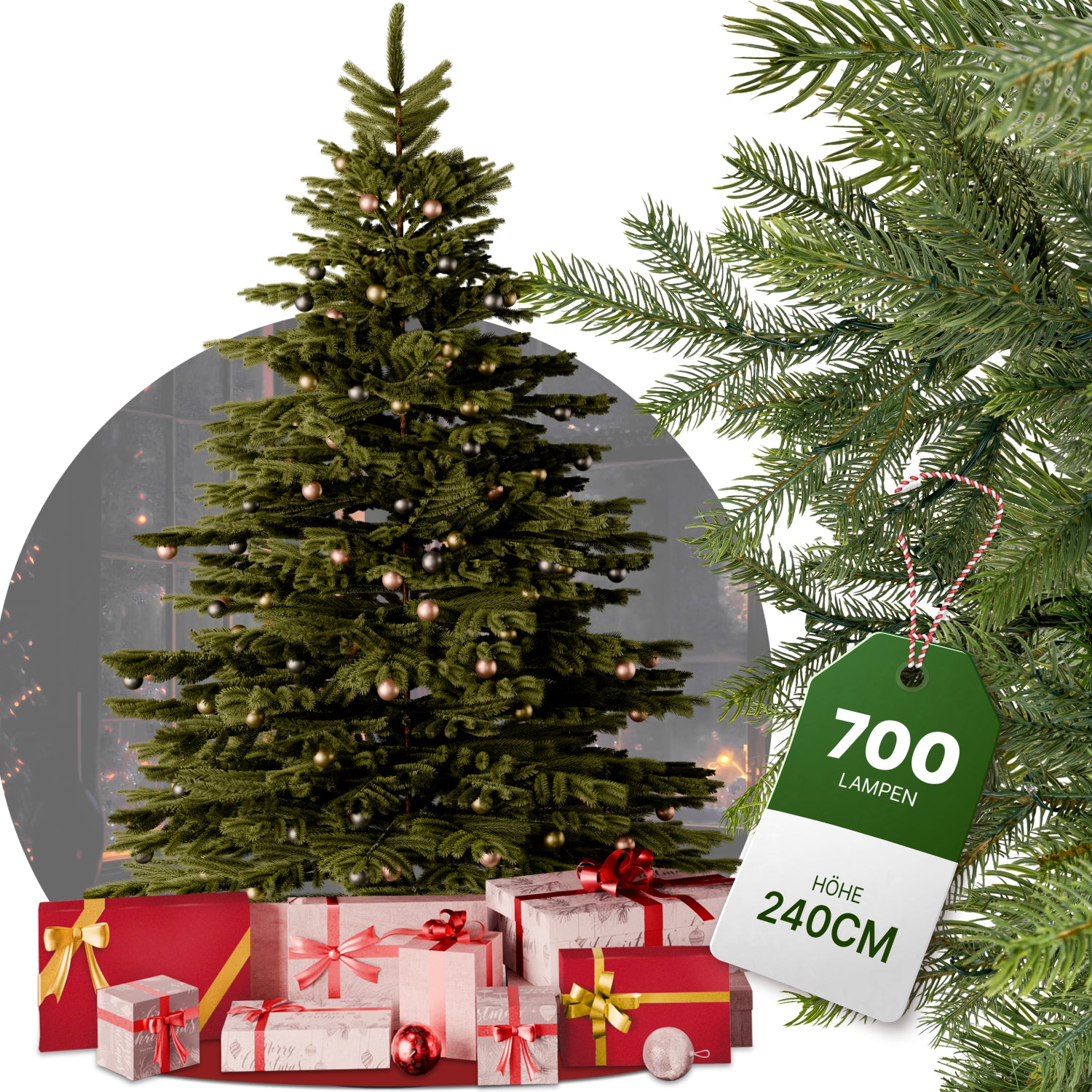 Nordmanntanne 240 cm mit toller Lichterkette