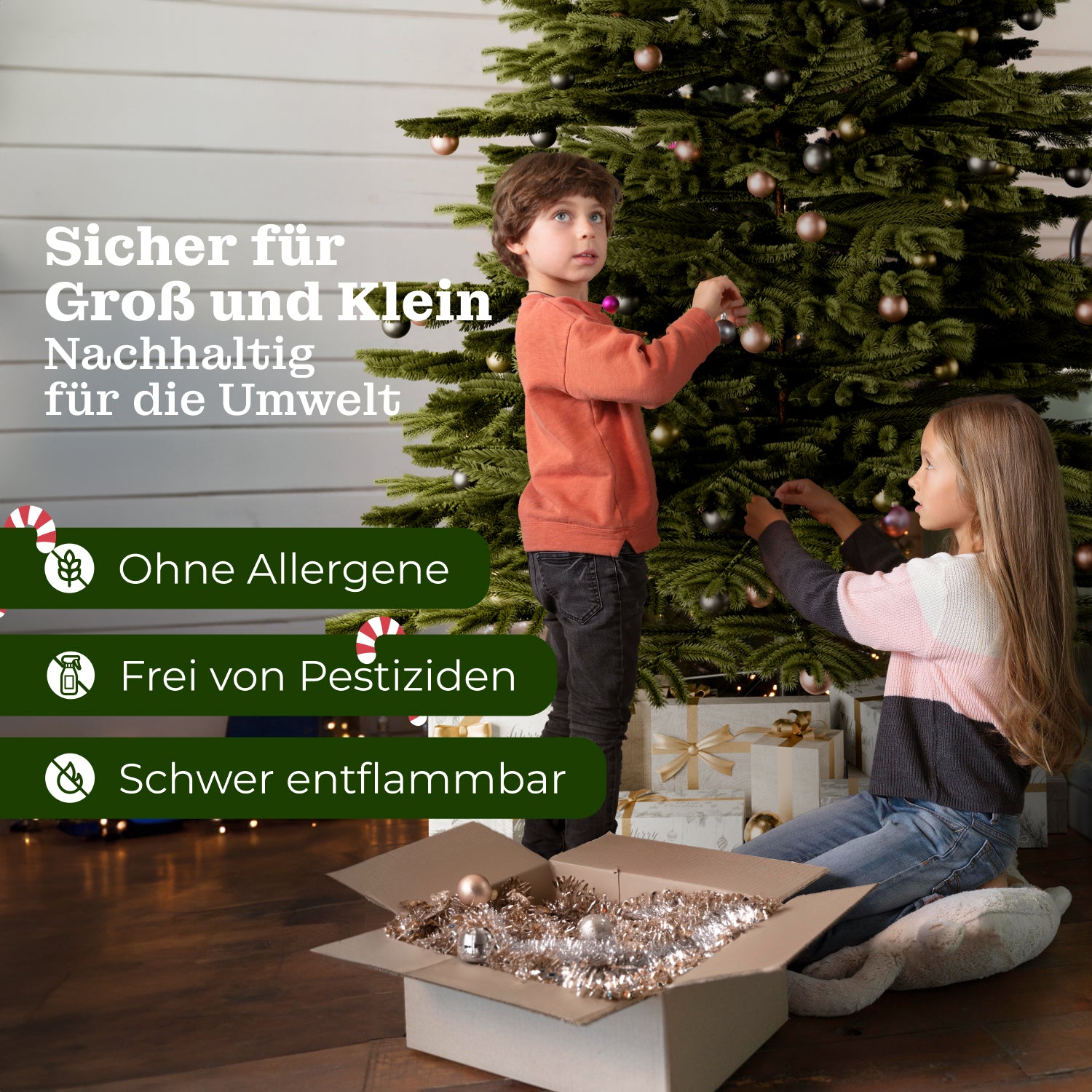 Nordmanntanne 240 cm mit toller Lichterkette