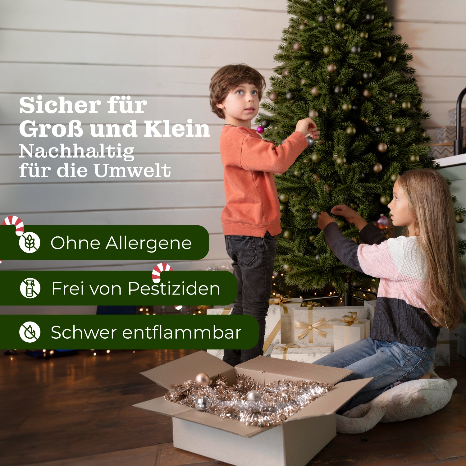 Königstanne 180 cm mit toller Lichterkette