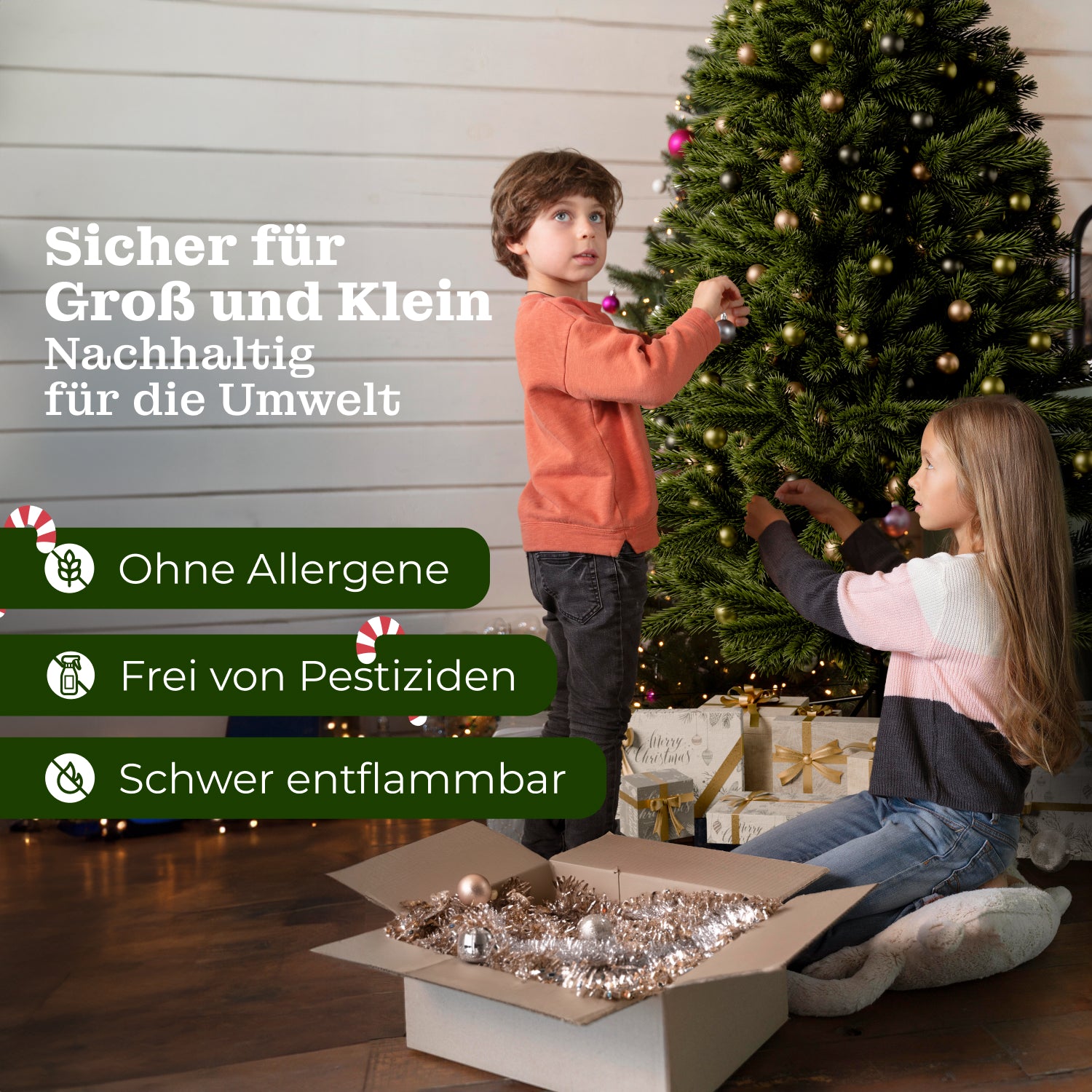 Königstanne 210 cm mit toller Lichterkette