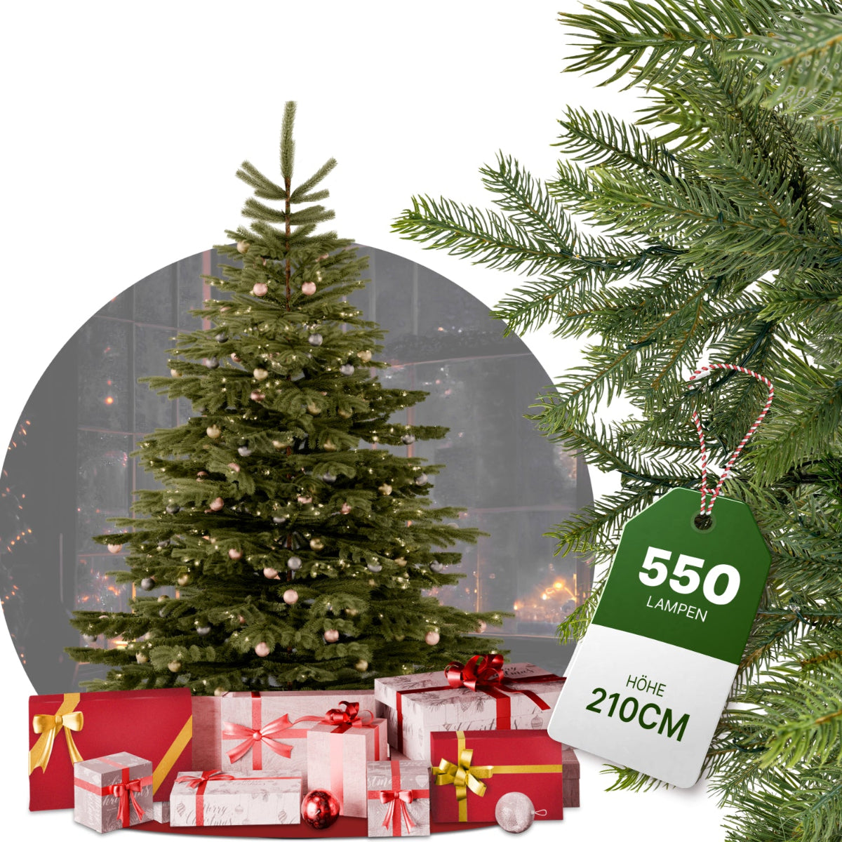 Nordmanntanne 210 cm mit toller Lichterkette