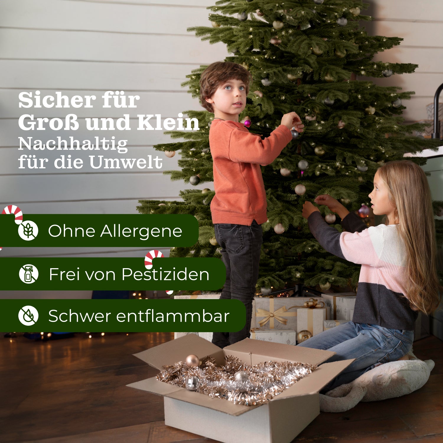 Nordmanntanne 210 cm mit toller Lichterkette