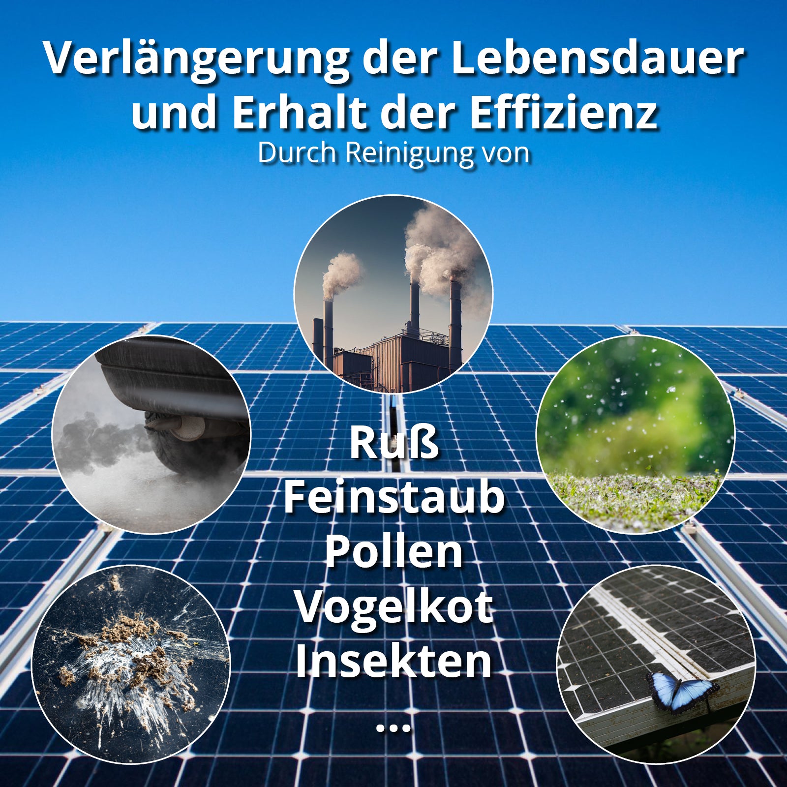 waschbürste mit teleskop